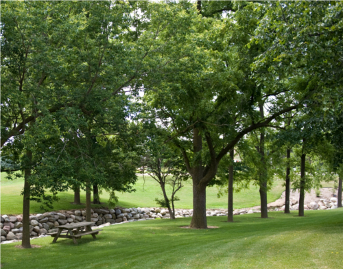 Waterworks Plaza Surroundings